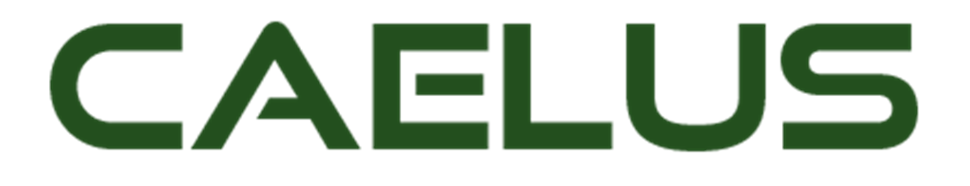AGS led Project CAELUS to help SAS carry out simulation study as part of national drone project